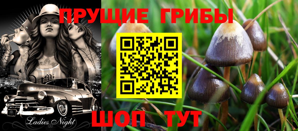 Рузаевка  Галлюциногенные грибы Psilocybe  Вход с VPN  Галлюциногенные грибы GOLDEN TEACHER 